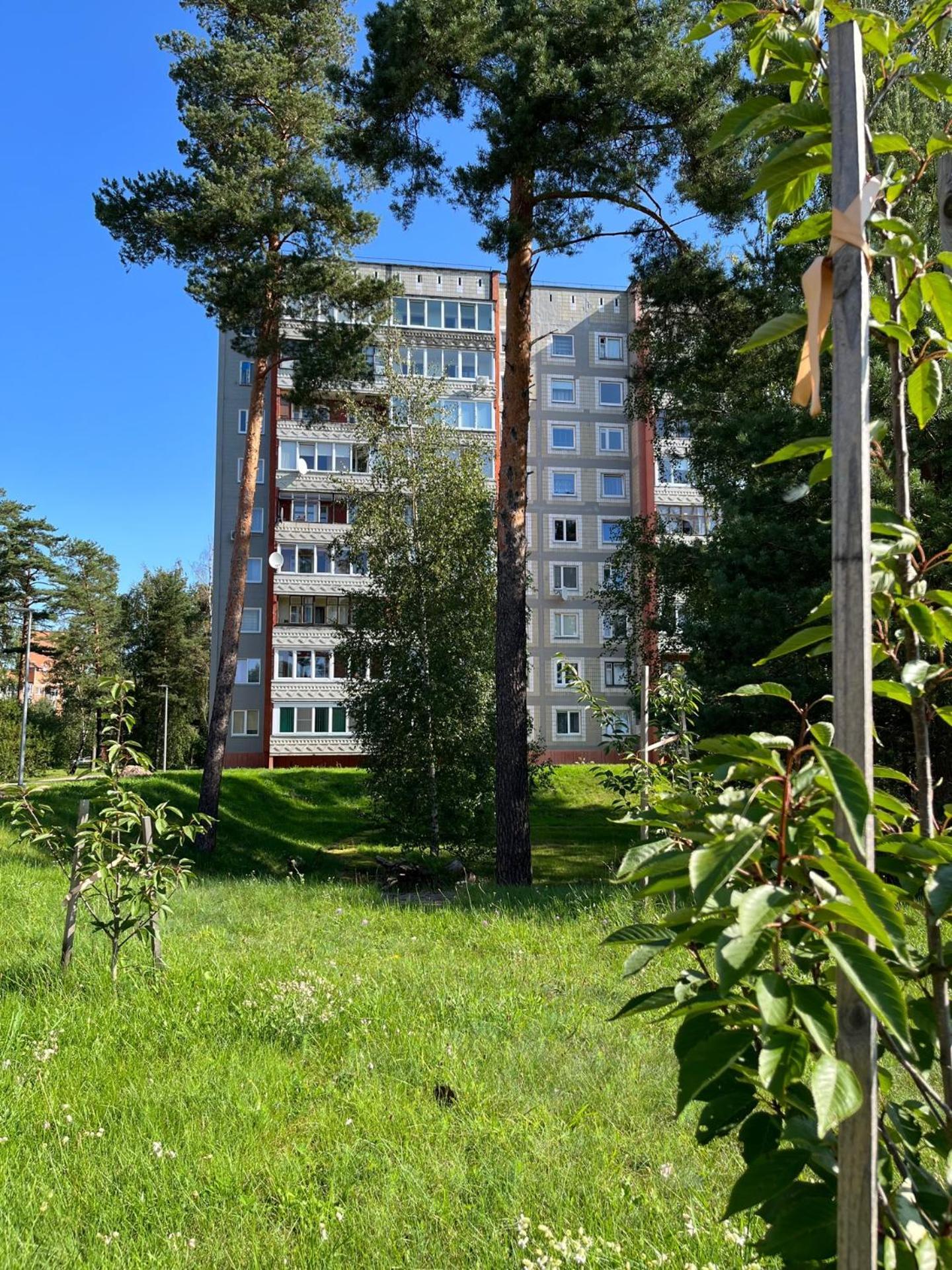 Pine Apartment Visaginas Eksteriør bilde